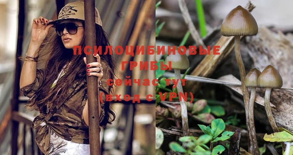 каннабис Волоколамск