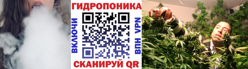 маркетплейс какой сайт  Светлоград  Канабис семена 